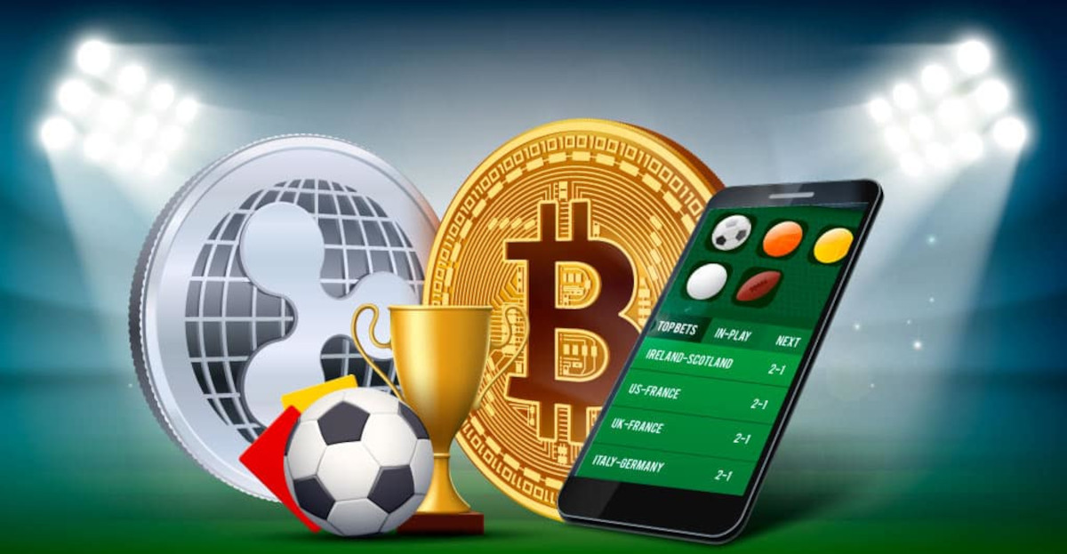 Betwinner Your Ultimate Guide to Successful Betting