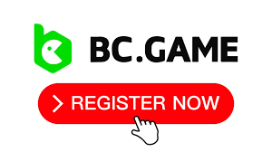 Guide to Bcigra Login Secure Access to Your Account