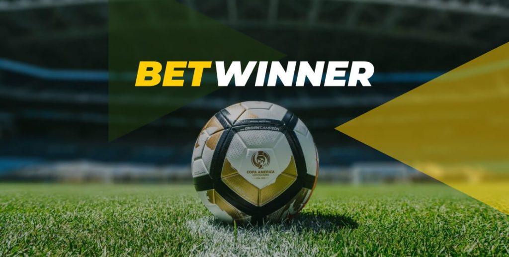 Découvrez l'univers fascinant de Betwinner Casino 1